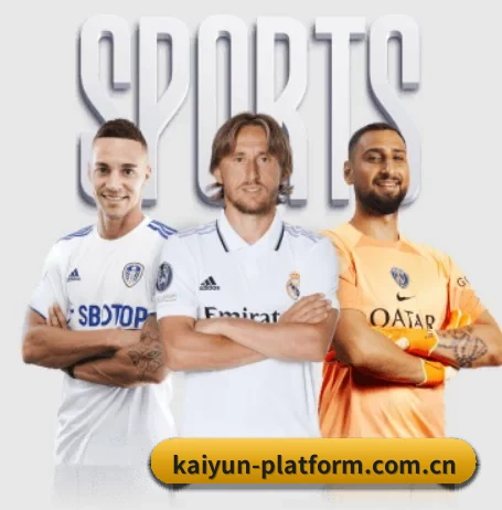 开云 APP | kaiyun