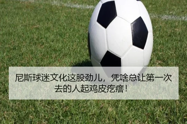 尼斯球迷文化这股劲儿，凭啥总让第一次去的人起鸡皮疙瘩！ - kaiyun